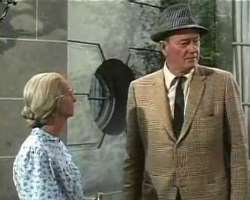 Wayne appeared for a very small bit part in the television series 